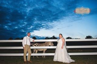 Sowell Farms - 59