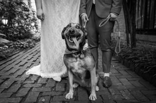 Photos By Kintz - 68
