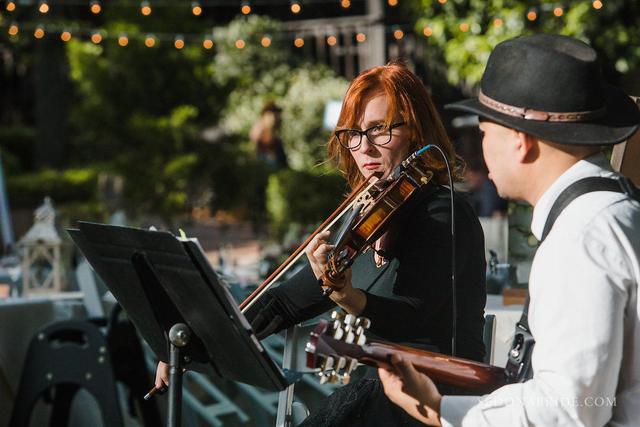 Sweetwater Strings - 3