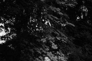 Silver and Salt Photography - 54