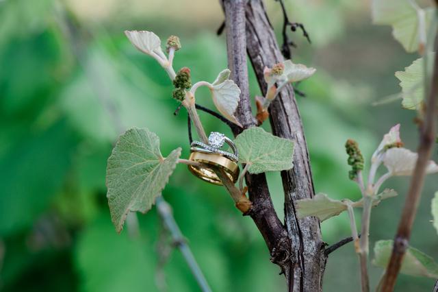 Bluefire Photography - 1