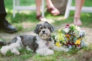 Ashley B. Martin Photography - 6