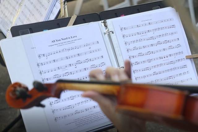 Ovation Strings 3