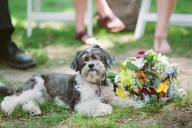 Ashley B. Martin Photography - 1
