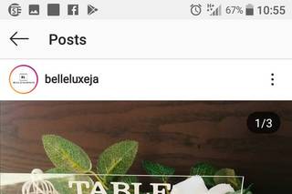 Belle Luxe Design - 17