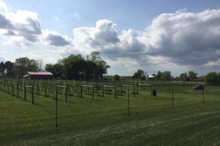 Whistler's Knoll Vineyard - 79
