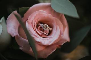 Flowers by Lori Ann - 152