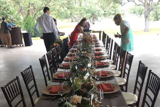 Wolf Weddings & Events - 73