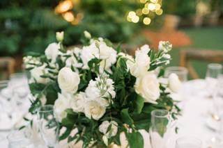 Megan Bennett Photography - 21