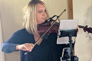 Sonnleit Violin - 4
