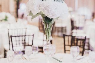 Cole Dewey Designs - 23