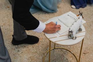 Wedding Officiant Extraordinaire - 10