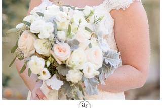 Ali Lomazzo Beauty - 75
