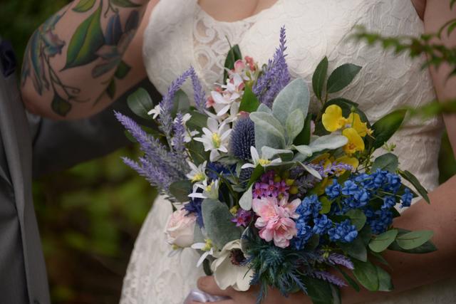 Paul Dudley Photography - 4