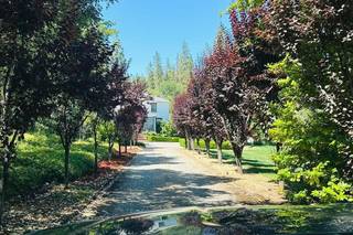 Monte Verde Inn - 6