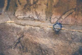 Senger Motives, LLC - 20