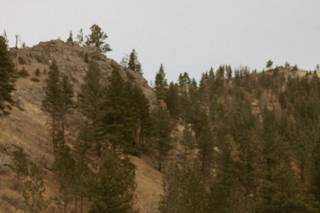 Sarah Gillaspie Photo LLC - 6