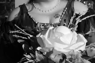 Steven Shofner Photography - 6