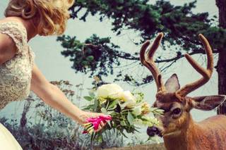 Orcas Weddings Officiant - 50