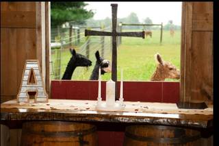 Heritage Farm Events - 9