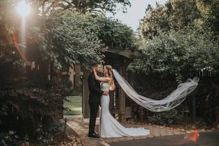 Amanda Collins Photography - 5