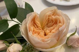 Jessica Vann-Campbell Flowers - 75