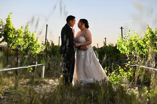 Secrest Wedding Photography 3