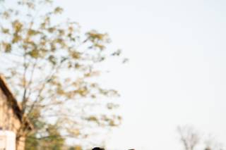 Eighty Eight Photo - 56