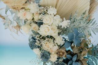 Protea FloraLab. - 32