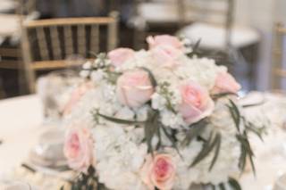 Orange Lawn Tennis Club - 8