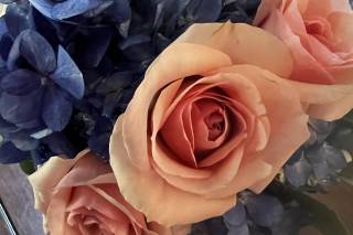 Rosanna's Flowers - 8