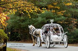 Forrest Hills Mountain Resort - 84