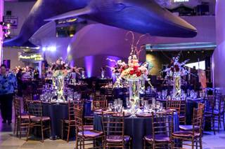 A Wedding Store & Special Events - 6
