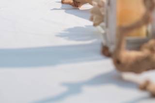 Island Bliss Weddings - 41