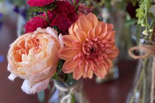 BridleWood Blooms - 6