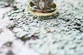 June Bird Photography - 29