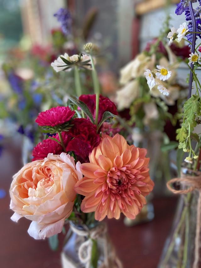 BridleWood Blooms - 2