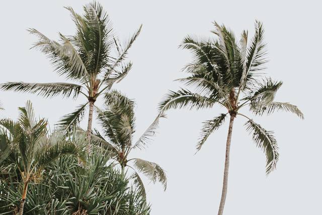 He'eia State Park 2