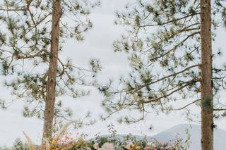 Floraland Weddings & Events - 56