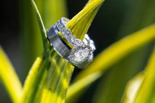 Adam Chandler Photography - 6