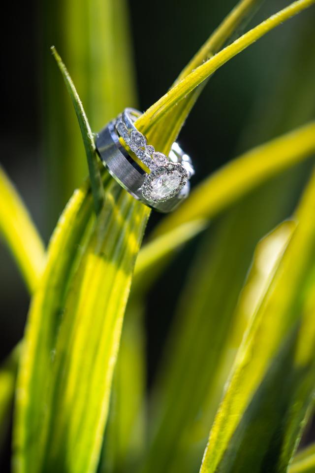 Adam Chandler Photography - 2