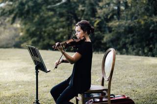 SUMMIT Strings - 113