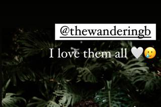 TheWanderingB Photography - 6