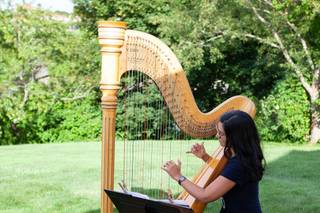 Harpist Lizary Rodriguez 2