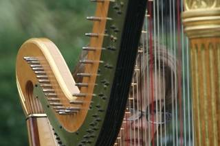 Harps of Gold - 6