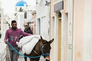 Sandy and Odysseas Photography - 39