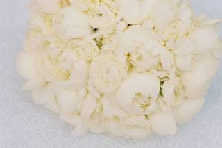 Ashley Cox Photography - 11