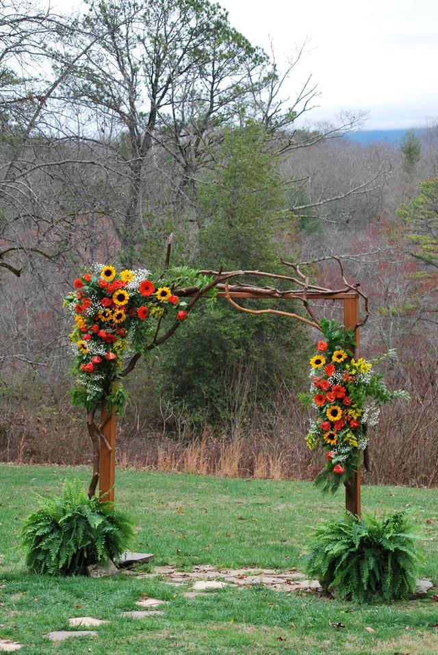 Twisty Maple - 2