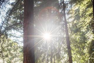 Heidi Borgia Photography - 64