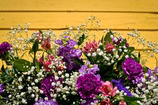 Bixler Blooms - 28